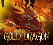 Gold Dragon